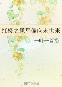 紅樓之鳳鳥偏向末世來