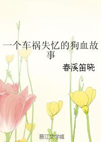 一個車禍失憶的狗血故事