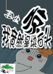 驚！我竟然是塊石頭