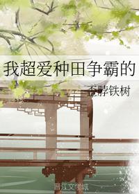 我超愛種田争霸的