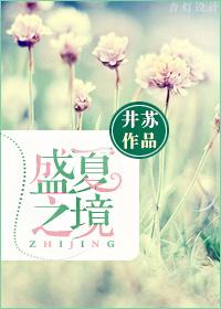 盛夏之境