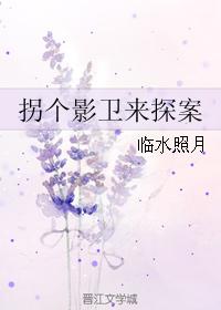 拐個影衛來探案