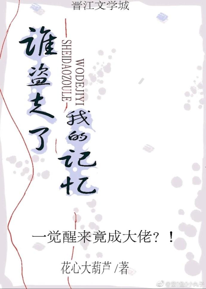 誰盜走了我的記憶