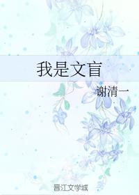 我是文盲
