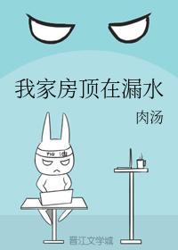 我家房頂在漏水