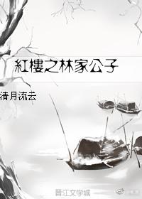 紅樓之林家公子