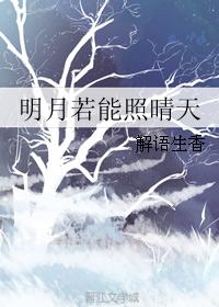 明月若能照晴天