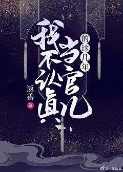 我不認真當官兒的這幾年