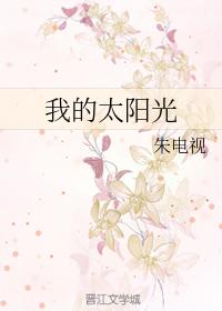 我的太陽光