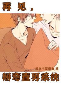 （僞）反系統再見，掰彎直男系統！