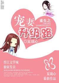重生之寵妻升級路