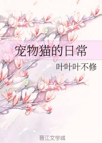 寵物貓的日常
