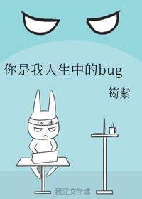 你是我人生中的bug