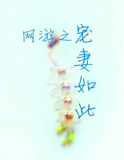 網游之寵妻如此