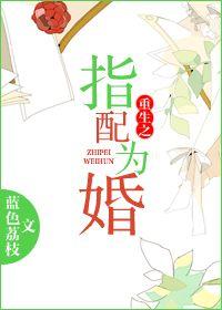 重生之指配為婚