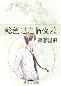 鲶魚記之臨夜雲