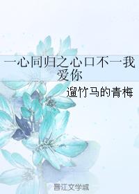 一心同歸之心口不一我愛你
