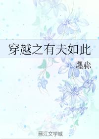 穿越之有夫如此