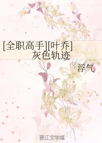 [全職高手][葉喬]灰色軌跡