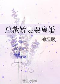 總裁嬌妻要離婚