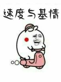 速度與基情
