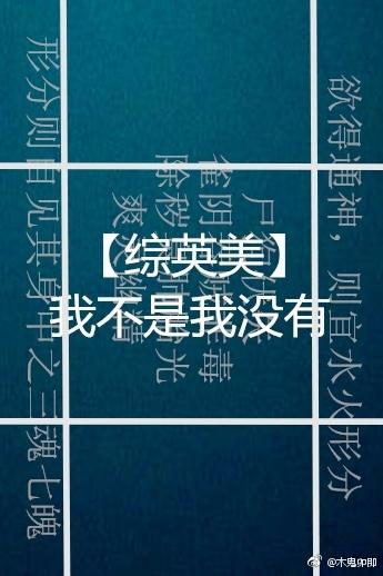 [綜英美]我不是我沒有