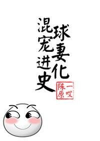 混球寵妻進化史