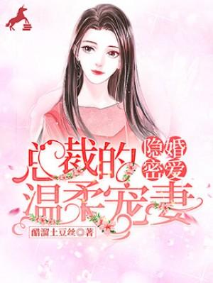 隐婚密愛：總裁的溫柔寵妻