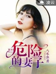 危險的妻子