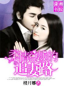 柔情總裁的追妻路