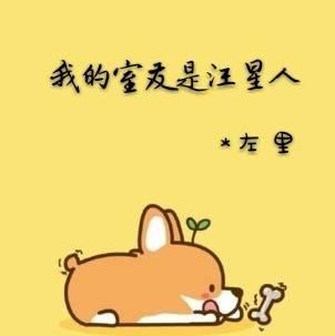 我的室友是汪星人