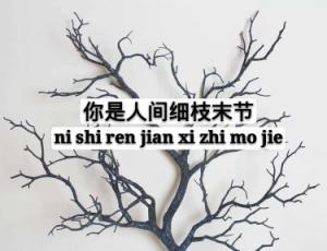 你是人間細枝末節