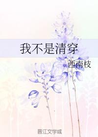 我不是清穿