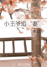 小王爺追‘妻’