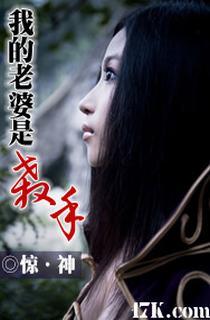 我的老婆是殺手