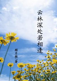 雲林深處若相逢
