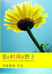 愛在時間荒野上