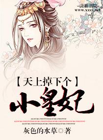 天上掉下個小皇妃