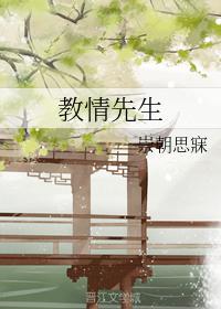 教情先生