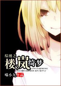 綜漫之樓岚绮夢