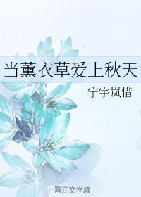 當薰衣草愛上秋