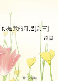 你是我的奇遇[劍三]