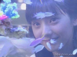 藍色生死戀--秋然淡夢