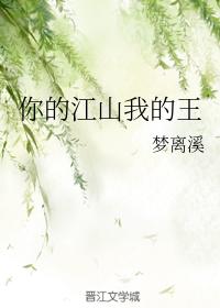 你的江山我的王