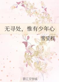 無尋處，惟有少年心