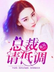 總裁請低調安筱桐葉亞楓