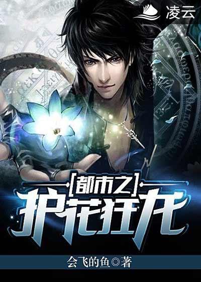 都市之護花狂龍