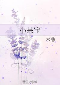 小呆寶