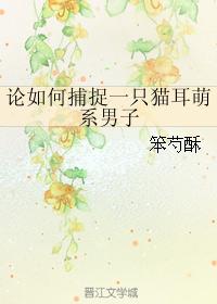 論如何捕捉一只貓耳萌系男子