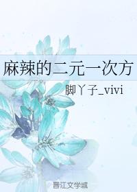 麻辣的二元一次方